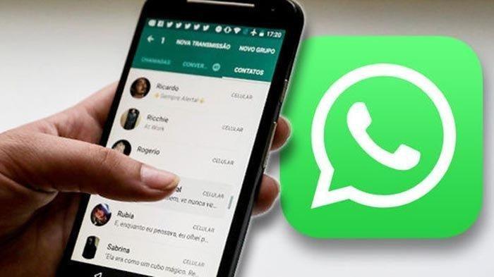 Whatsapp Akan Ada Iklan Yang Mucul di Platform - nya ?? Simak Disini Guyss