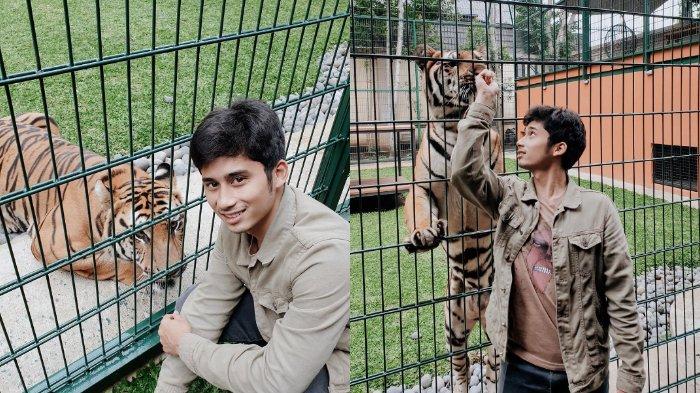 Klarifikasi Sepupu Raffi Ahmad Soal Tuduhan Miring Dari Unggahan Video Harimau Benggala di Youtube