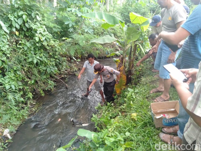 Warga blitar Menemukan Jasad Bayi yang Tersangkut di Batu Sungai Ewuh Lingkungan Nangkan