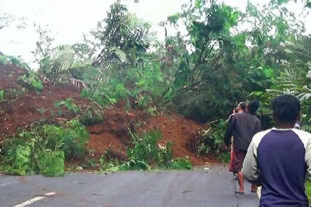 Tebing Setinggi 20 Meter di Banjarnegara Longsor, Jalan Provinsi Terputus