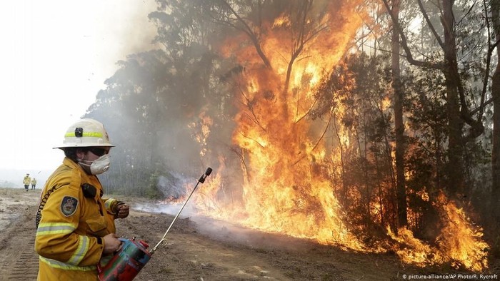Perubahan Iklim, Kebakaran Hutan Jadi Risiko Global Masa Depan