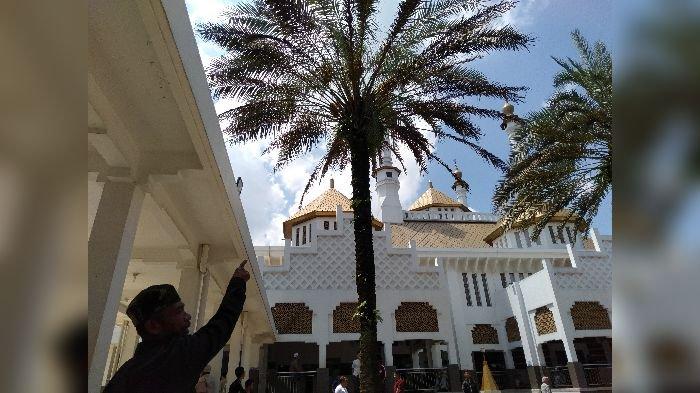 VIRAL !  Pohon Kurma di Masjid Agung Berbuah, 2 Bulan Lagi Panen, Warga dan Netizen di Tasikmalaya Sampai Heboh