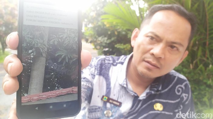BBKSDA Turunkan Tim untuk Evakuasi Monyet Langka Surili di Cianjur