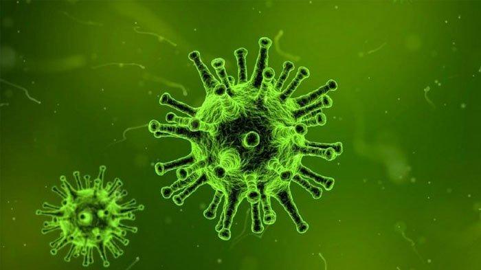 Virus Misterius Mematikan di China, Penularannya antar Manusia dan Mirip SARS
