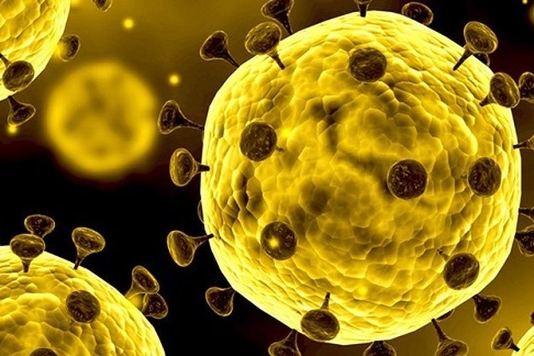 Beijing dan Shanghai Menetapkan Level Darurat Tertinggi Dalam Menghadapi Wabah Virus Corona