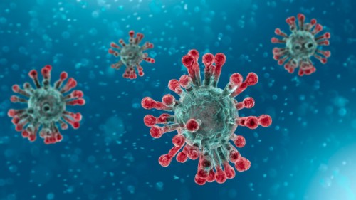 Sedang Heboh Corona Virus di Seluruh Dunia, Ini Gejala dan Cara Pencegahannya