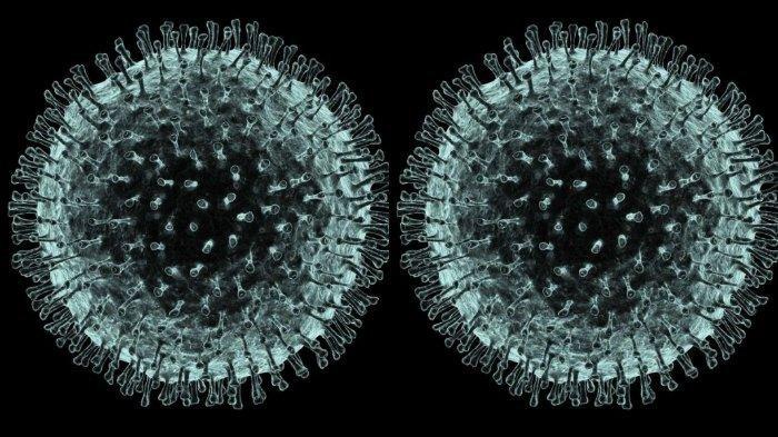 Berikut Ciri Virus Korona dan Penyebaran Virus Korona
