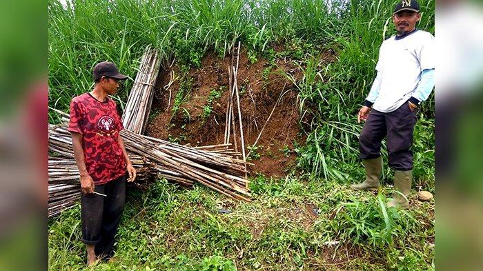 Gadis yang Masih Berusia 15 Tahun Ditemukan Tergeletak Berlumuran Darah di Kebun Sentris Perbatasan Kota Cimahi dan Kabupaten Bandung Barat
