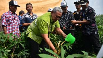  18 HA Lahan di Kecamatan Cidahu Kuningan Ditanami Durian