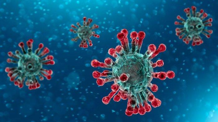 Tak Ada Dokter Ahli, Mahasiswa yang Diduga Terinfeksi Virus Corona di Maluku Ditangani Dokter Umum