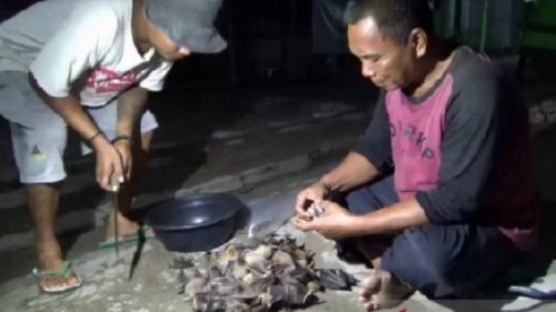 Virus Korona Sudah Mewabah di Berbagai Negara, Kegiatan Berburu Kelelawar di Ngawi Tetap Berjalan