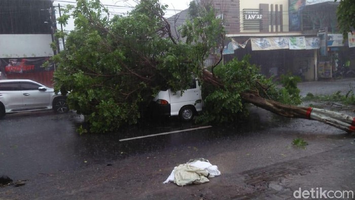 Hujan Deras Disertai Angin Kencang Mengakibatkan Puluhan Pohon Tumbang di Kota Blitar