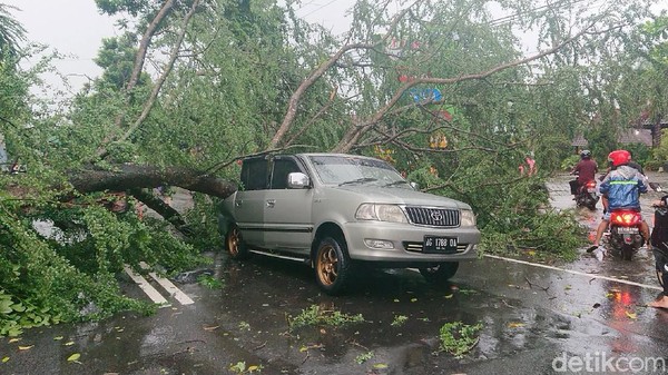 Mobil Tertimpa Pohon Tumbang di Jalan Nasional Jayeng Kusuma, Berencana Menepi Ketempat Aman