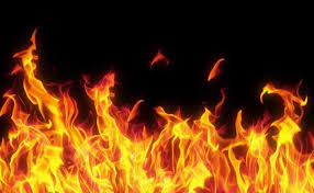 Gudang Pengolahan Kayu di Kabupaten Sukabumi Hangus Terbakar, Dugaan Sementara Api Muncul dari Gudang Oven Pengolahan Kayu