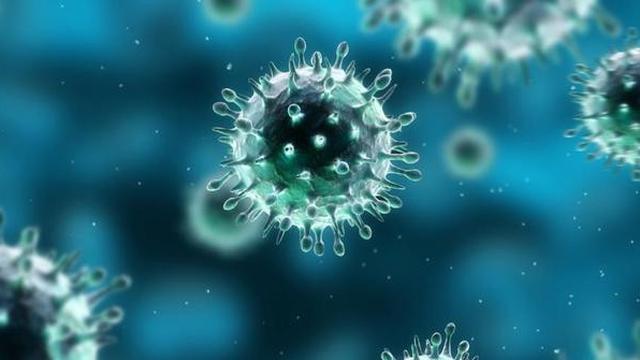 Fakta - Fakta Seputar Perkembangan Virus Korona Baru, Simak Disini