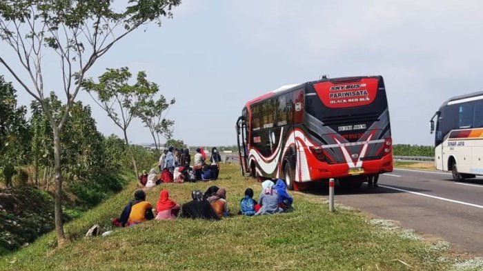 Bus-bus Tak Bisa Masuk Tegal yang Di-Lockdown, Penumpang Diturunkan di Tepi Jalan Tol