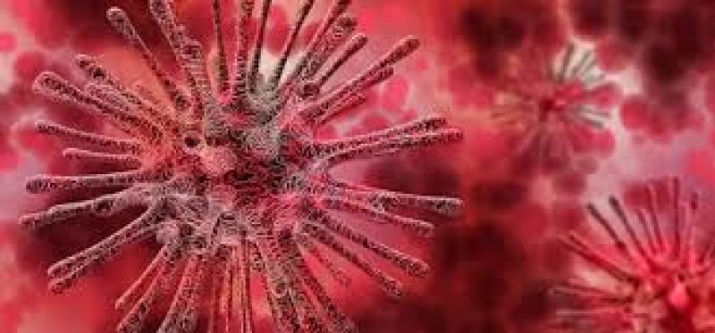 Sebanyak 77 Pasien Dengan Status Positif Virus Korona di Rawat di Rumah Sakit Darurat Wisma Atlet