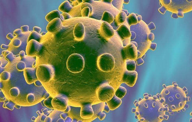 Bupati Bogor Menyebutkan Bahwa Ada Dua Pasien Positif Virus Korona  Sudah Dinyatakan Sembuh