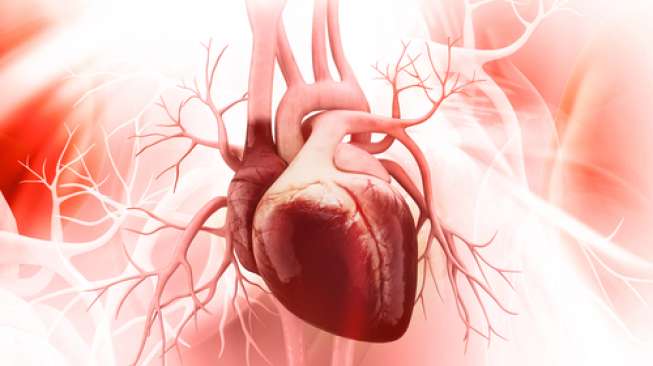 Mengenal Henti Jantung, 5 Kondisi Ini Dapat Memperbesar Risikonya!