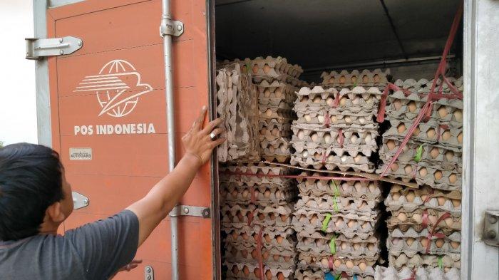Pemprov Jabar Bantah 4 Ton Telur Busuk di Gudang di Garut, Besok Mau Dibagikan di Tasikmalaya