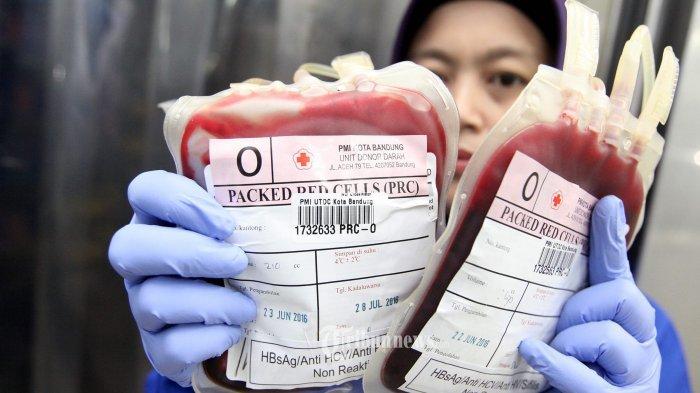 PMI DKI Pastikan Stok Darah Aman Apabila Ada Bantuan dari Bodetabek
