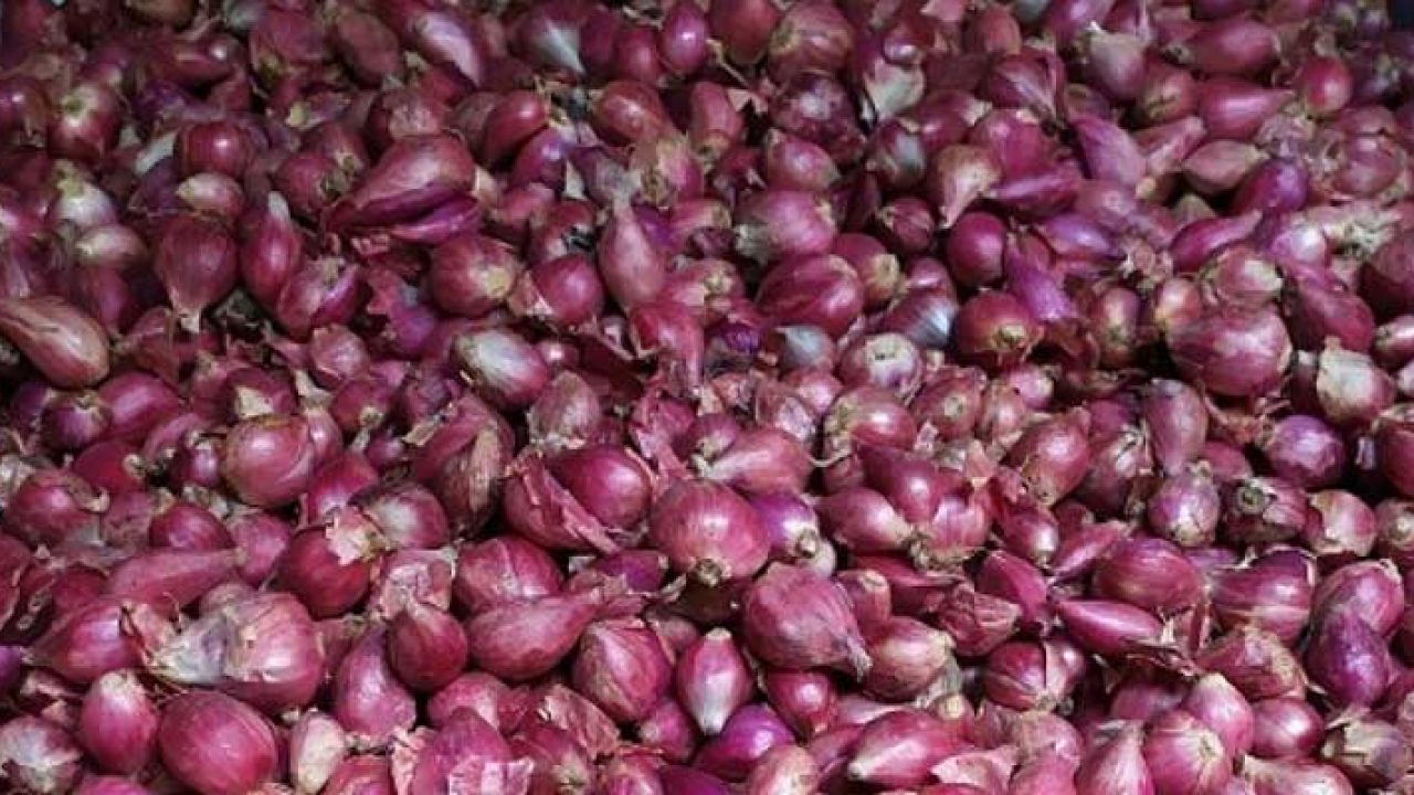 Luar Biasa !! Harga Bawang Merah di Pasar Induk Cikurubuk Kota Tasikmalaya Saat ini Melambung Jadi Rp.48.000 Per Kg