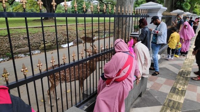 Capek, Satpol PP Biarkan Warga Berkerumun di Depan Istana Bogor