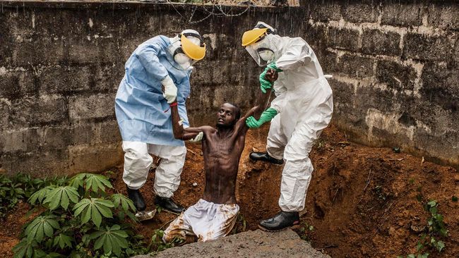 Kenali Ebola, Penyakit Mematikan yang Ditularkan dari Darah & Cairan Tubuh