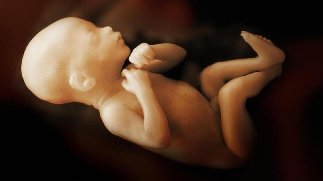 Peneliti Klaim Berhasil Kembangkan Embrio Manusia