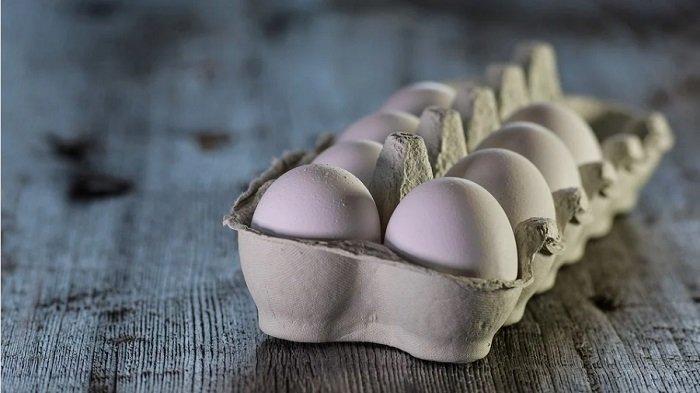  Apa yang Berbahaya Jika Mengonsumsi Telur Infertil? Ini Penjelasannya