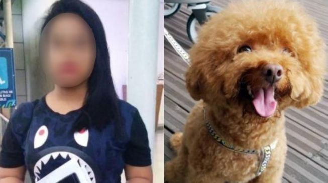 Lempar Anjing Majikan Hingga Mati, TKI di Singapura Terancam Bui