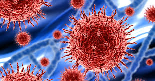 Selandia Baru Melaporkan 2 Kejadian Baru Infeksi Virus Corona, Setelah 25 Pekan Nihil Infeksi Baru 