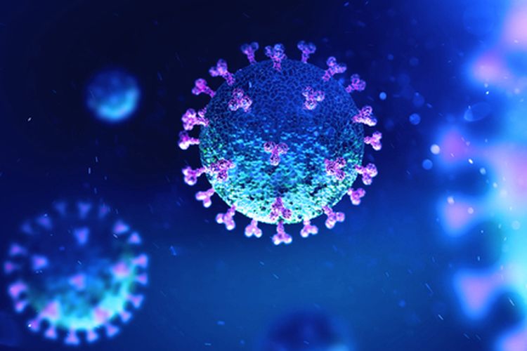  Mengambil Paksa jenazah PDP Virus Corona di RS Pancaran Kasih Manado, Sejumlah Warga Manado Tolak Rapid Test