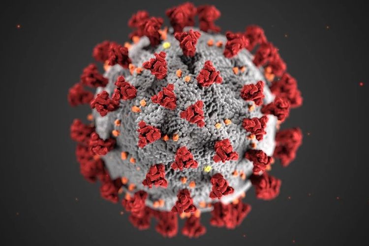 42 Warga Positif Virus Corona Dinyatakan Sembuh, Perkantoran Kembali Aktif, Gugus Tugas Antisipasi Penambahan Kasus Positif di Serang