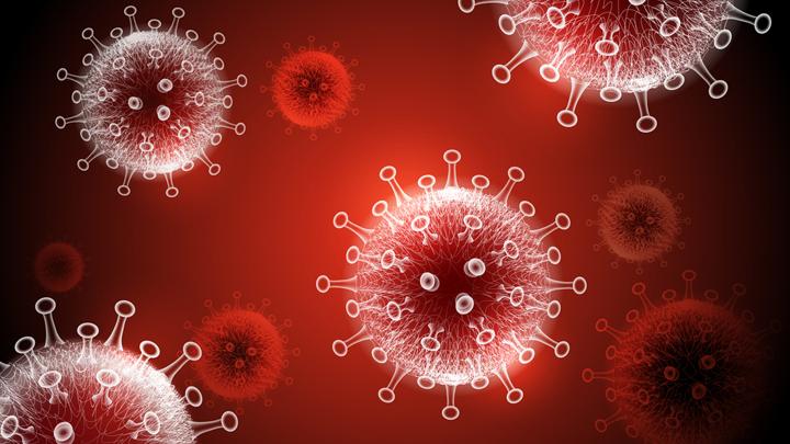 Pandemi Virus Corona, Bupati Sinjai yang Menyebut Plt Kadinkes Terpapar Virus Corona Viral di Media Sosial