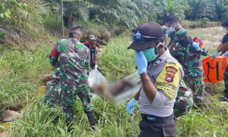 Tak Pulang Selama 3 Hari, Seorang Buruh Perkebunan Sawit Ditemukan Tewas di Perbatasan Malaysia-Indonesia