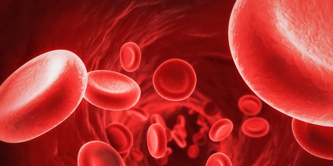 Fungsi Sel Darah Merah dan Putih yang Ada Dalam Tubuh Manusia, Ini Penjelasannya