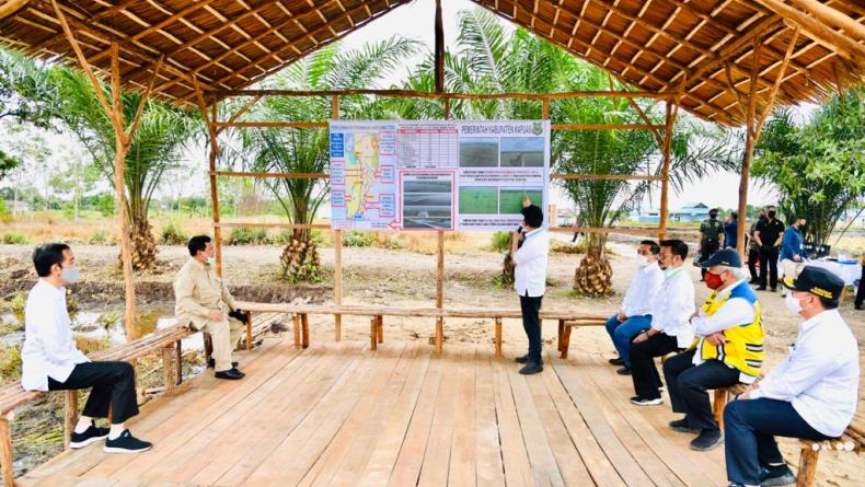 Bupati Kapuas Berharap Lumbung Pangan Food Estate di Kalteng Sejahterakan Warga Lokal
