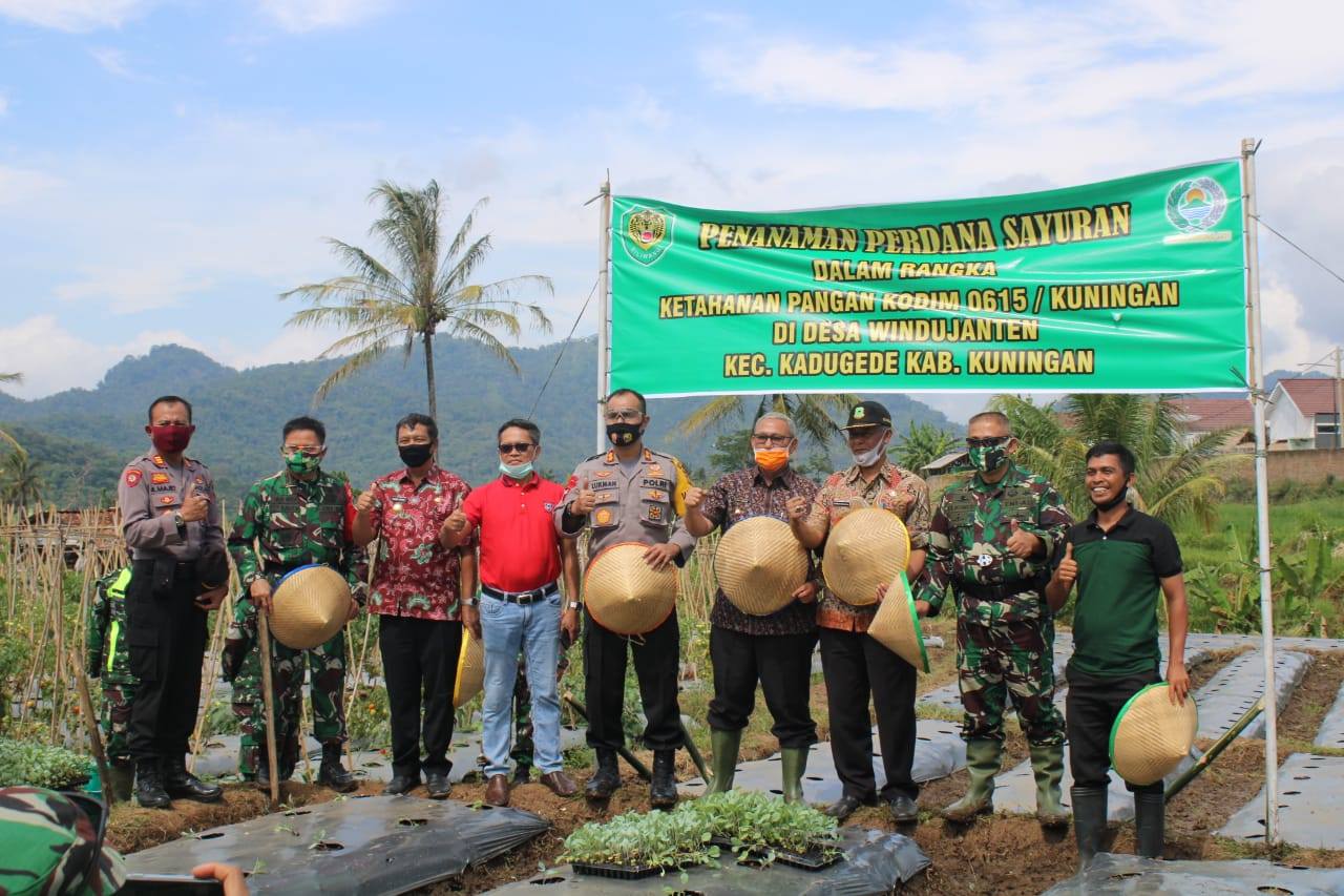 Danrem 063 Cirebon Kunker Ke Kuningan Menanam Sayuran di Windujanten