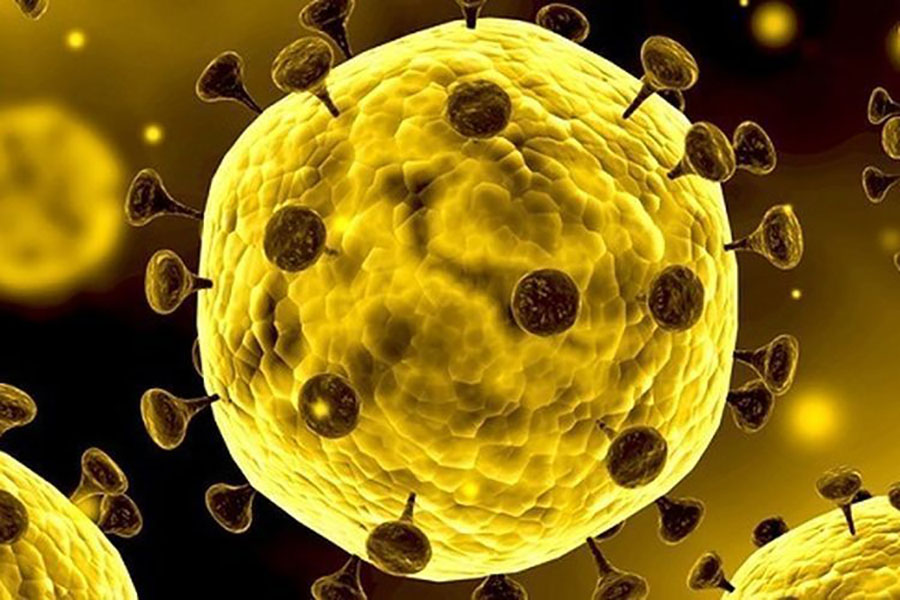 Pandemi Virus Corona, IKAPPI Mencatat Klaster Penyebaran Virus Corona Terbesar Terjadi di Pasar Youtefa Papua