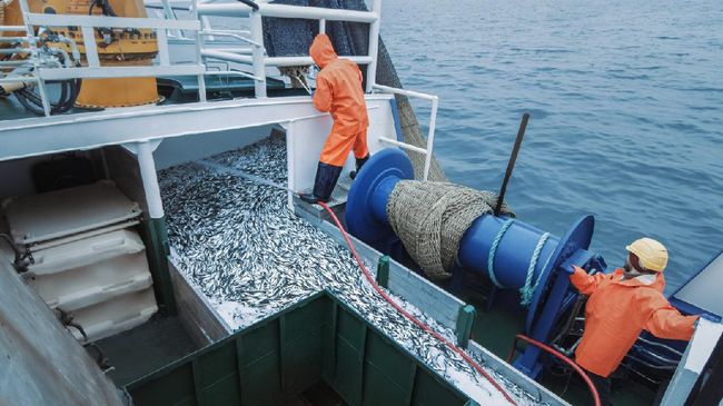 China Sesali RI Tangkap Kapal Ikan yang Diduga Aniaya ABK WNI