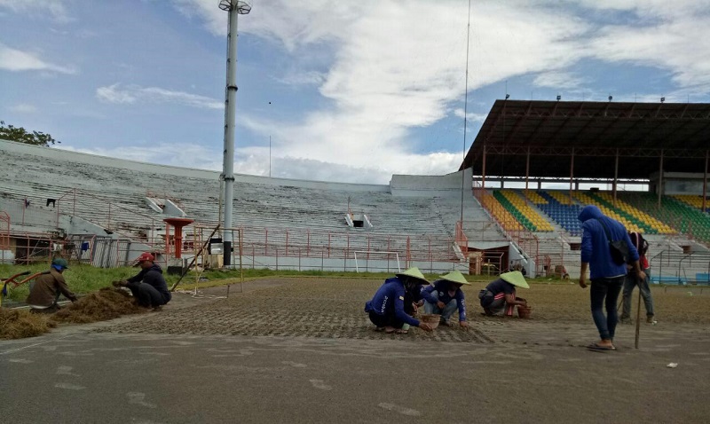 Penanaman Rumut di Stadion Gelora 10 November Surabaya Untuk Penunjang Piala Dunia U-20 Rampung Dikerjakan