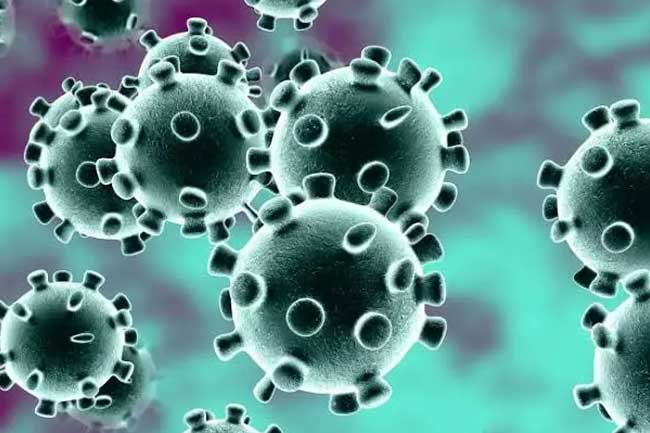 Seorang Pasien Terkonfirmasi Positif Virus Corona Asal Kecamatan Paseh Sumedang Meninggal Dunia Sempat Dirawat di Puskesmas, Istri Masih Diisolasi 