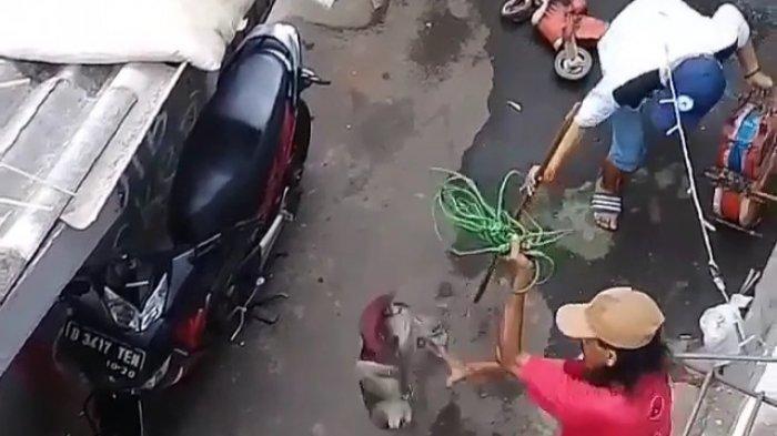 Viral Pengamen Topeng Monyet Lakukan Penganiayaan di Cakung