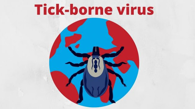 China Temukan Virus Tick-Borne dari Gigitan Kutu, Sudah 67 Orang Terinfeksi
