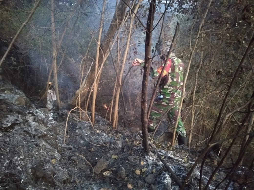 20 Hektar Lahan Hutan Di Kawasan wisata Blok Pajaten Terbakar