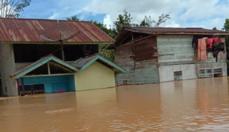 BNPB Mengungkapkan Penyebab Banjir Besar yang Mengakibatkan 12 Desa di Kabupaten Landak Terendam Air, 'Luapan 5 Sungai'