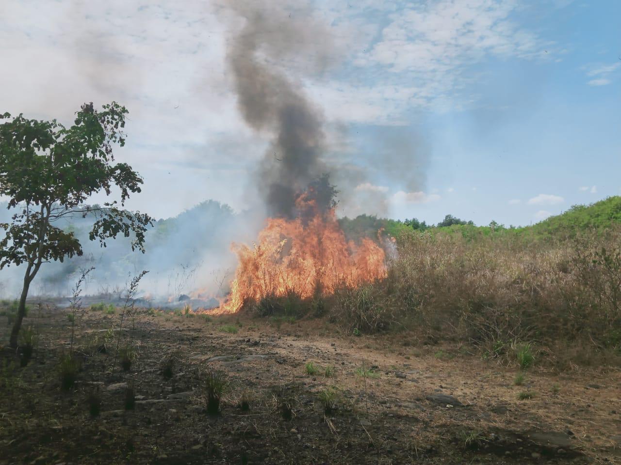 20 Hektar Lahan Hutan Di Kawasan Gunung Ciremai Terbakar Lagi