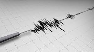 Gempa Bumi Dengan Magnitudo 4,3 Mengguncang Wilayah Pacitan Jatim, Belum Diketahui Dampak yang Ditimbulkan