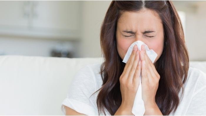 5 Obat Tradisional untuk Mengatasi Alergi Dingin, Dijamin Berkhasiat!
